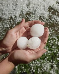 Toča je konec julija prizadela tudi naše območje.
Foto: Spletišče Primorskega vala