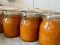 Na Brjah se je skuhalo že veliko kozarcev marelične marmelade