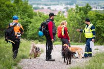 Mednarodna vaja CZ, foto: Alen Milavec