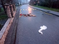 Vandalizem - januar 2018