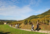 Vertovčeve poti - društveni pohod 2015