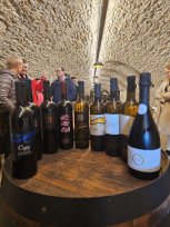 Vinski izbranci 2024
