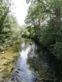 VIPAVA