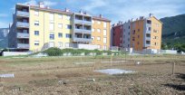 Vrtički, junij 2013