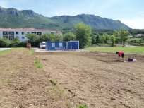 Vrtički, junij 2013