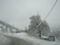 Foto Alenka Tratnik, Primorske novice