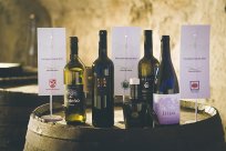 Županova vina vseh treh občin, ustanoviteljic Zavoda za turizem Nova Gorica in Vipavska dolina 